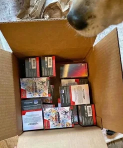 Pokémon Großhandel Deutschland